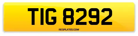 TIG 8292