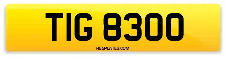 TIG 8300
