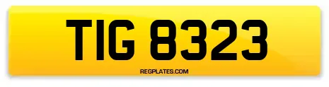 TIG 8323