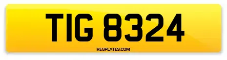 TIG 8324