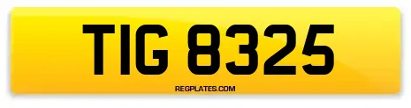 TIG 8325