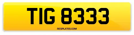 TIG 8333