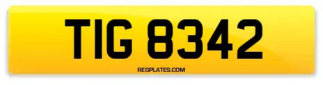TIG 8342