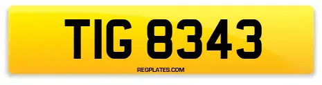 TIG 8343