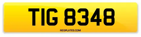 TIG 8348