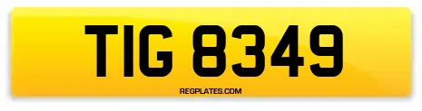 TIG 8349