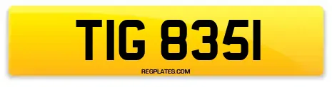 TIG 8351