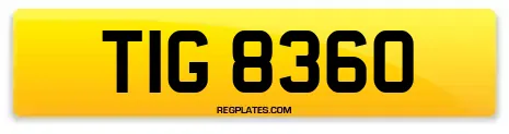 TIG 8360