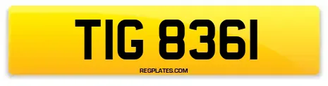 TIG 8361