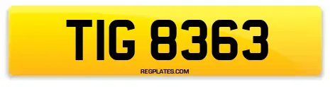 TIG 8363