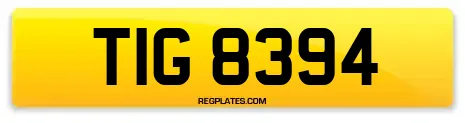 TIG 8394