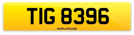 TIG 8396