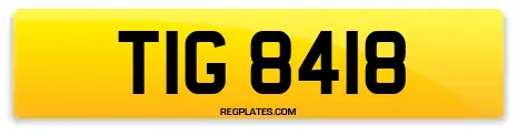 TIG 8418
