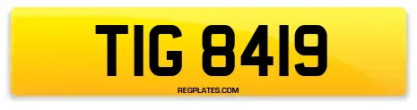 TIG 8419