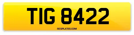 TIG 8422