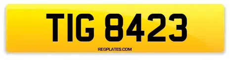 TIG 8423