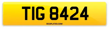 TIG 8424