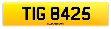 TIG 8425