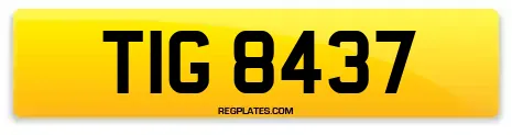 TIG 8437