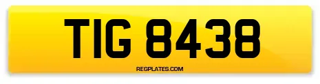 TIG 8438
