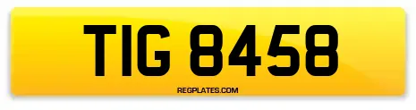 TIG 8458