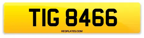 TIG 8466