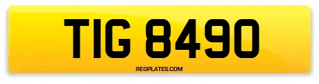 TIG 8490
