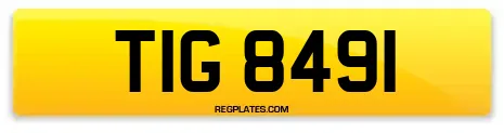 TIG 8491