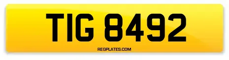 TIG 8492