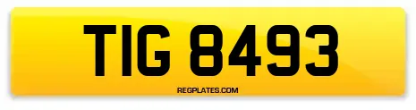 TIG 8493