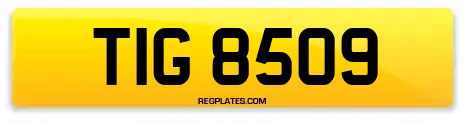 TIG 8509