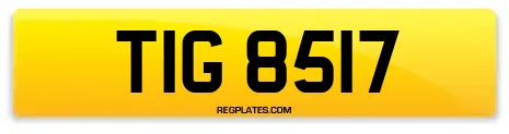 TIG 8517