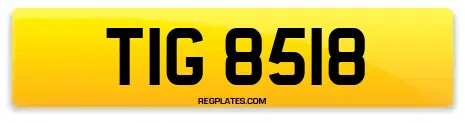 TIG 8518