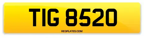 TIG 8520