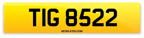 TIG 8522