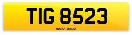 TIG 8523