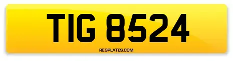 TIG 8524