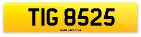 TIG 8525