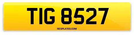 TIG 8527