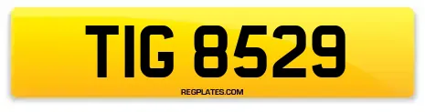 TIG 8529