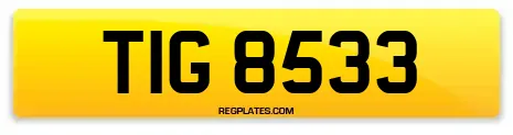 TIG 8533