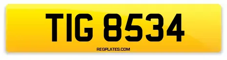 TIG 8534
