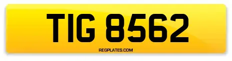 TIG 8562