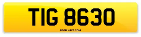 TIG 8630