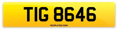 TIG 8646