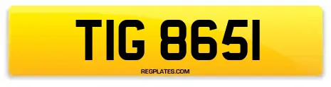 TIG 8651