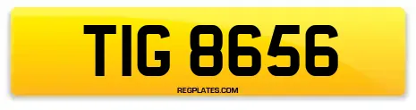 TIG 8656