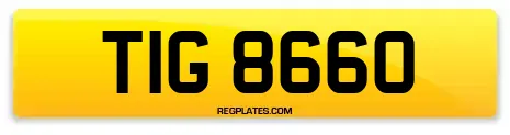 TIG 8660