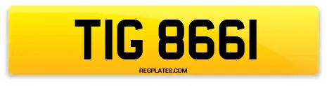 TIG 8661