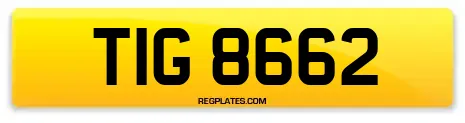 TIG 8662